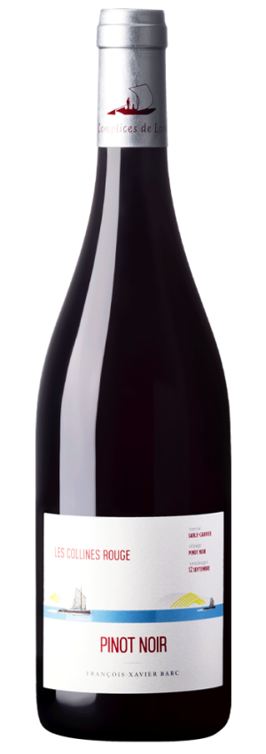 Complices de Loire Pinot Noir VDF Les Collines Rouges