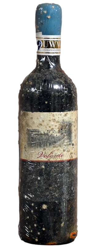 Tenuta Campo al Signore - UnderWater Bolgheri Rosso "Volante"