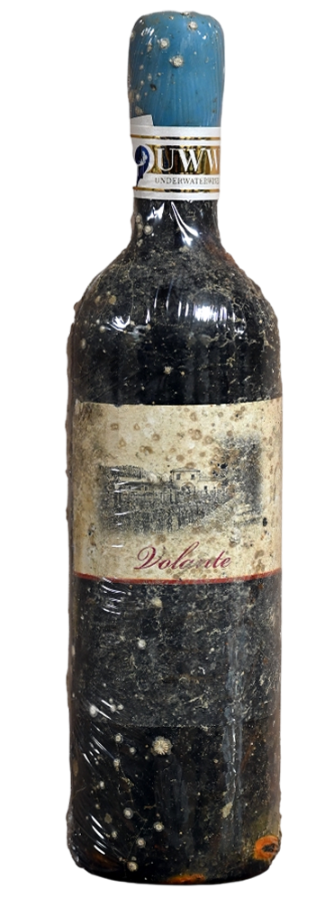Tenuta Campo al Signore - UnderWater Bolgheri Rosso "Volante"