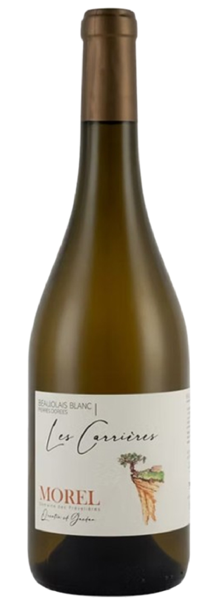 Domaine des Prevelieres - Beaujolais Blanc Les Carrieres