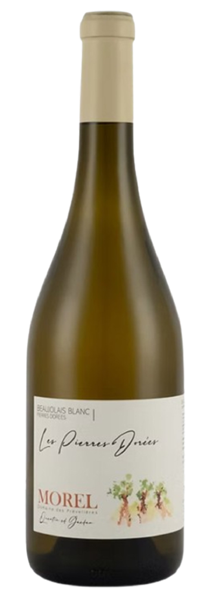 Domaine des Prevelieres - Beaujolais Blanc Les Pierre Doreés