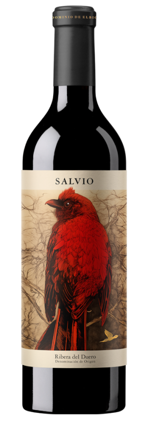 Dominio de Elbio Salvio 2024